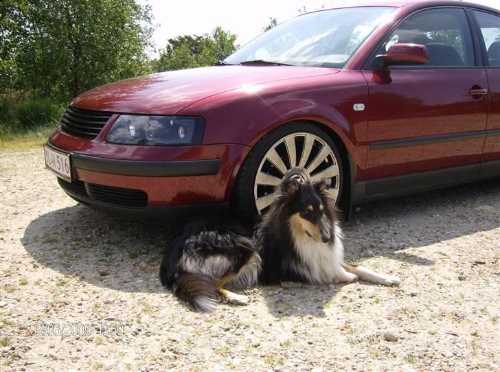 VW Passat 1,8 20V - Solgt-  - Vuf vuf billede 6