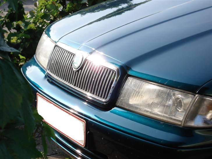 Skoda Octavia  - Krom front billede 8