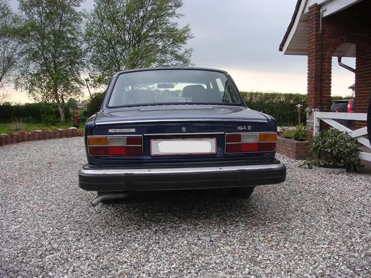 Volvo 164 E billede 4