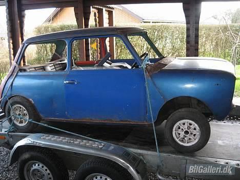 Austin-Morris mascot clubman SOLGT billede 1