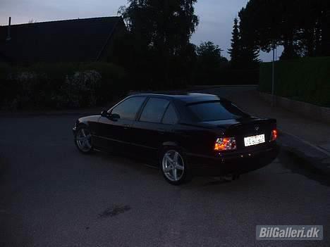 BMW 318i billede 4