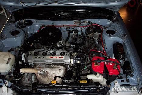 Toyota Corolla 1,6xl billede 6