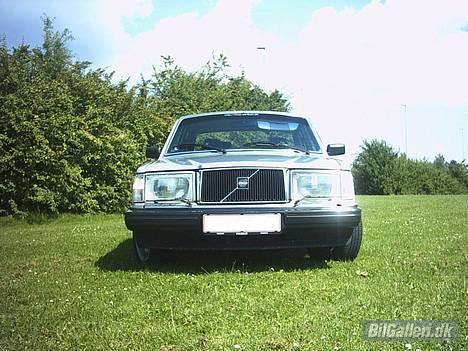 Volvo 240 GL - Hun tigger jo efter et kys, lige på frontgitteret! billede 4