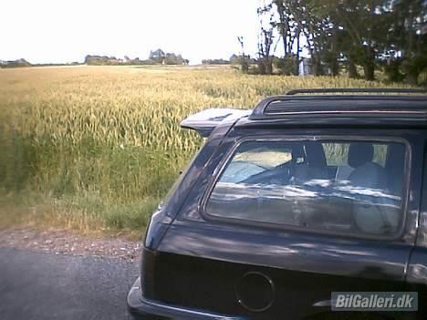 Ford sierra 2.0i doch - Håndlavet spoiler ca 25cm fra bagenden billede 4