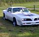 Pontiac Trans Am Firebird