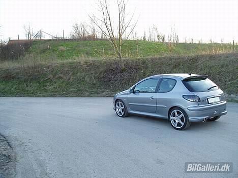 Peugeot 206 S16 "GTR" - Natur skal der til billede 9