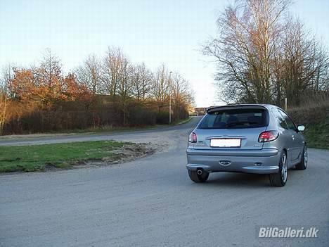 Peugeot 206 S16 "GTR" - Natur skal der til billede 10