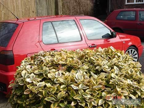 VW Golf III 1,8 CL billede 12