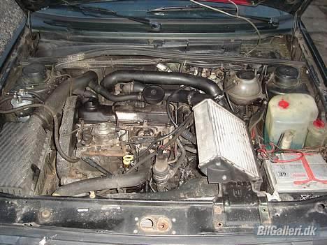 VW Golf TD * SOLGT * - den dejlige moter billede 8