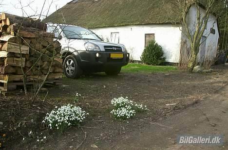 Hyundai Tucson "Afrodite" *Solgt* - Forår i Danmark :) billede 18