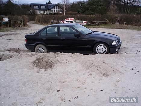 BMW 318I R.I.P billede 6
