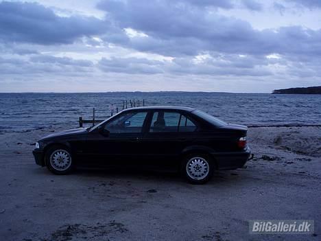 BMW 318I R.I.P billede 7
