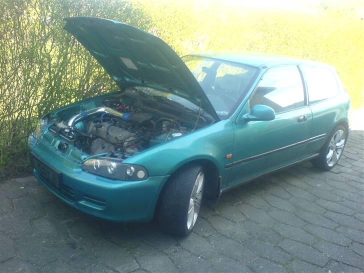 Honda Civic SOLGT billede 8
