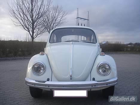 VW bobbel  1300 billede 7