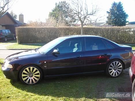 Audi A4 billede 2