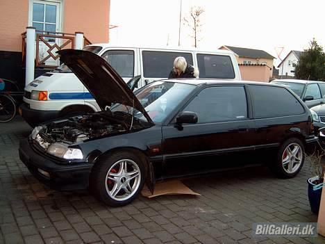 Honda Civic....Musen SOLGT! - det er lille bror viggo... den begyndte at køre idag...igen...! ikk vask motoren på en honda...!   ;) billede 16