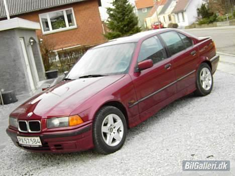 BMW E 36 *SOLGT* billede 1