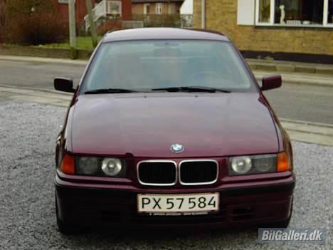 BMW E 36 *SOLGT* billede 2