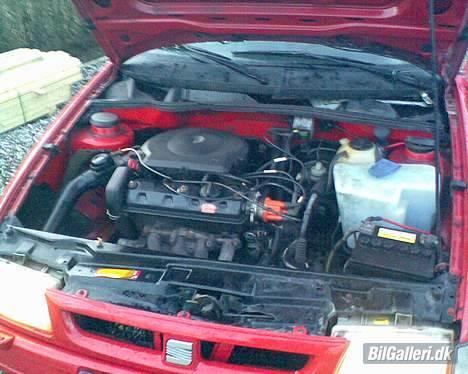 Seat Ibiza 1,3 CLX I (SOLGT) billede 5