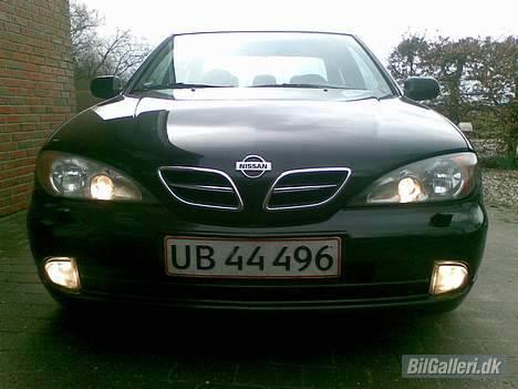 Nissan Primera2,0(Solgt)(Jeppes) - standart køre lys (Hvid/blå) position lys billede 5