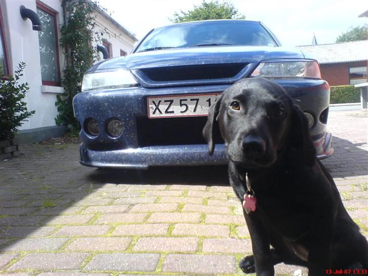 Opel Vectra B ~ Sedan (Suspectra´n) - Kinky du står lidt i vejen... Doh! billede 17