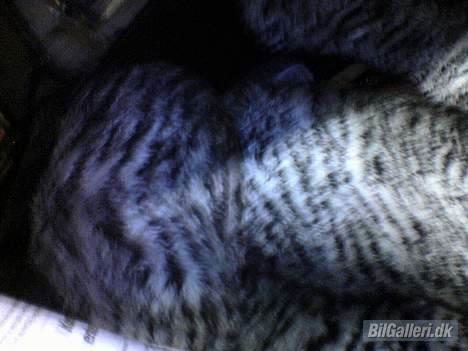 Lada 2105 "TOTALT SMADRET" billede 5