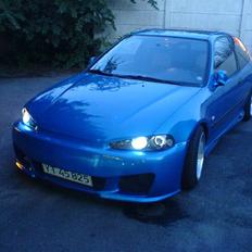 Honda Civic "Kamikaze"