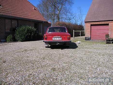 Volvo 144 Sport  billede 4