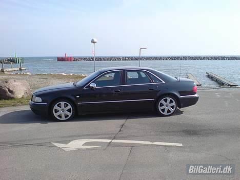 Audi S8 (mande bilen) billede 1