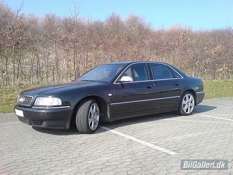 Audi S8 (mande bilen) billede 2