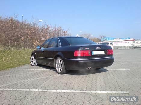 Audi S8 (mande bilen) billede 3