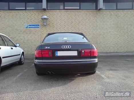 Audi S8 (mande bilen) billede 4