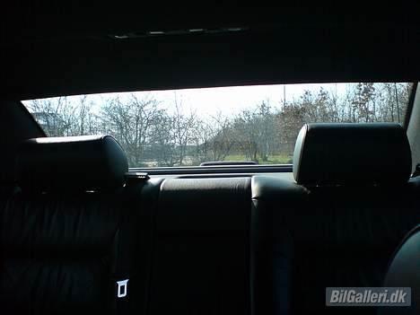 Audi S8 (mande bilen) - EL Rullegardin billede 12