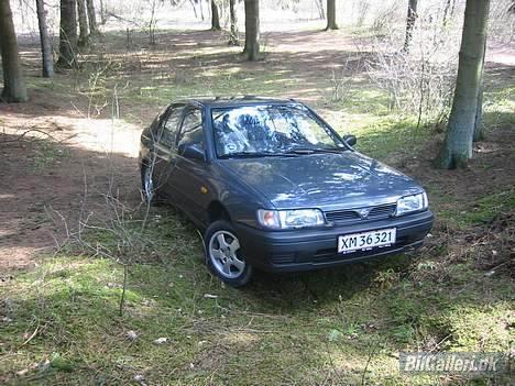 Nissan Sunny ''Smadret'' billede 8