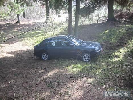 Nissan Sunny ''Smadret'' billede 9