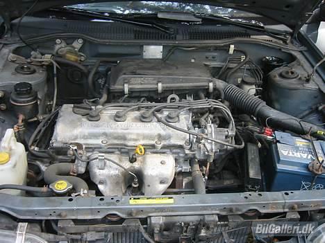 Nissan Sunny ''Smadret'' billede 11