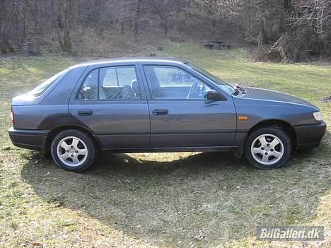Nissan Sunny ''Smadret'' billede 13