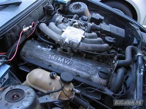 BMW E30 320i (Solgt) - Ku godt trænge til lige at blive pusset lidt :-) Har andet ventil dæksel til at ligge !  billede 11