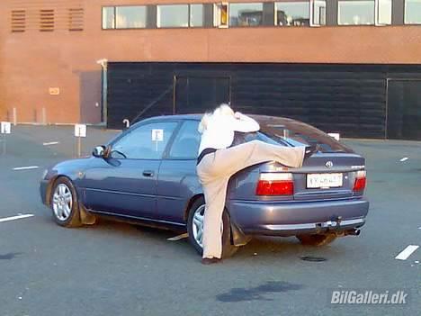 Toyota Corolla Si - Åhh min lille skat! billede 19