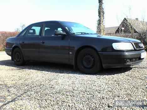 Audi 100 2,6 v6 billede 11