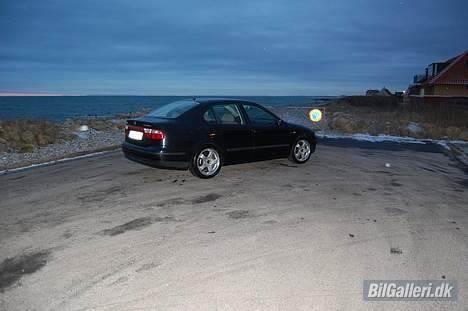 Seat Toledo 1,6 Stella (solgt) billede 5