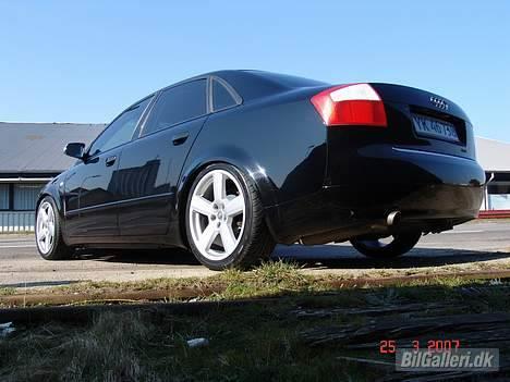 Audi a4 limousine død - lav er godt billede 2