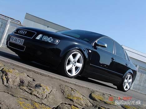 Audi a4 limousine død billede 3