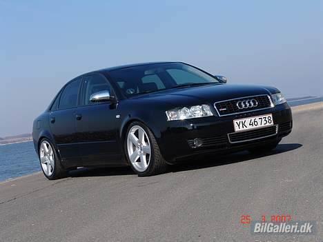 Audi a4 limousine død billede 4