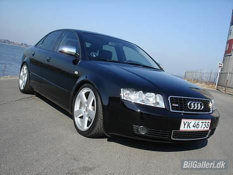 Audi a4 limousine død billede 6