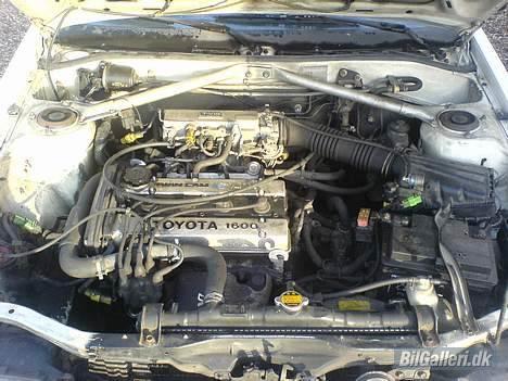 Toyota Corolla GT billede 18