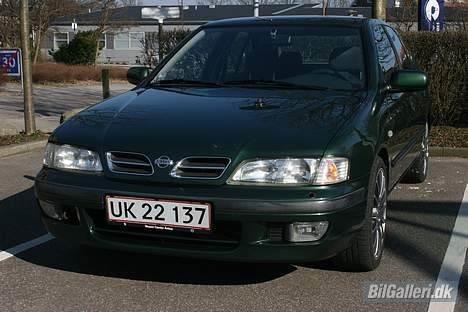 Nissan Primera 2.0i SLX billede 8