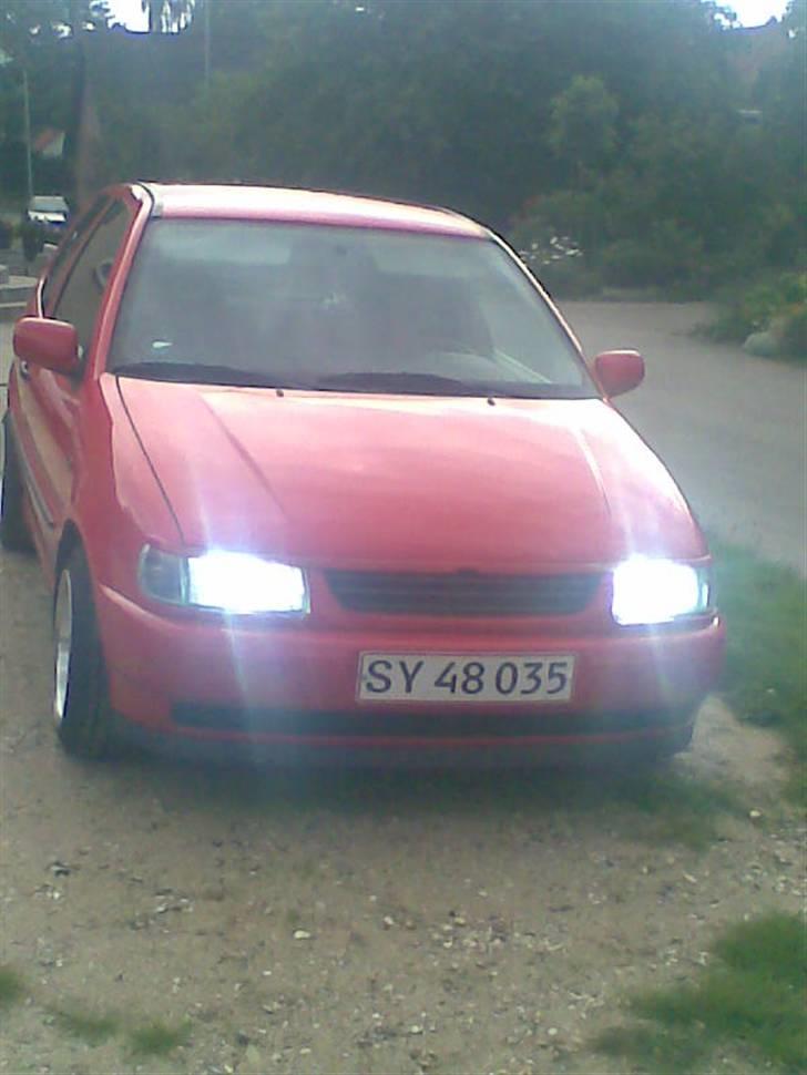 VW Polo 6N - med 8000 k billede 1