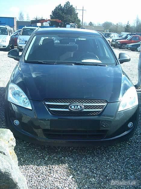 Kia ceed - her er den lige kommet til forhandleren  billede 2