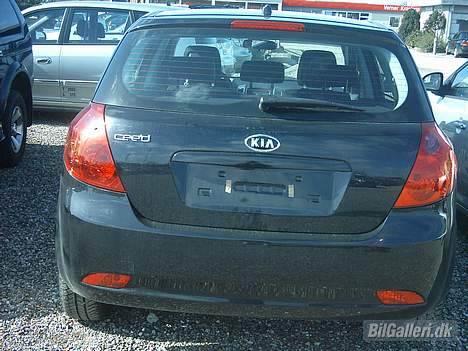 Kia ceed - her er den lige kommet til forhandleren  billede 4